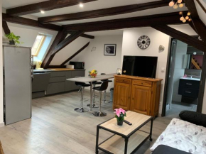 Gîte du Figuier 4 à 6 personnes Sélestat Centre-Alsace